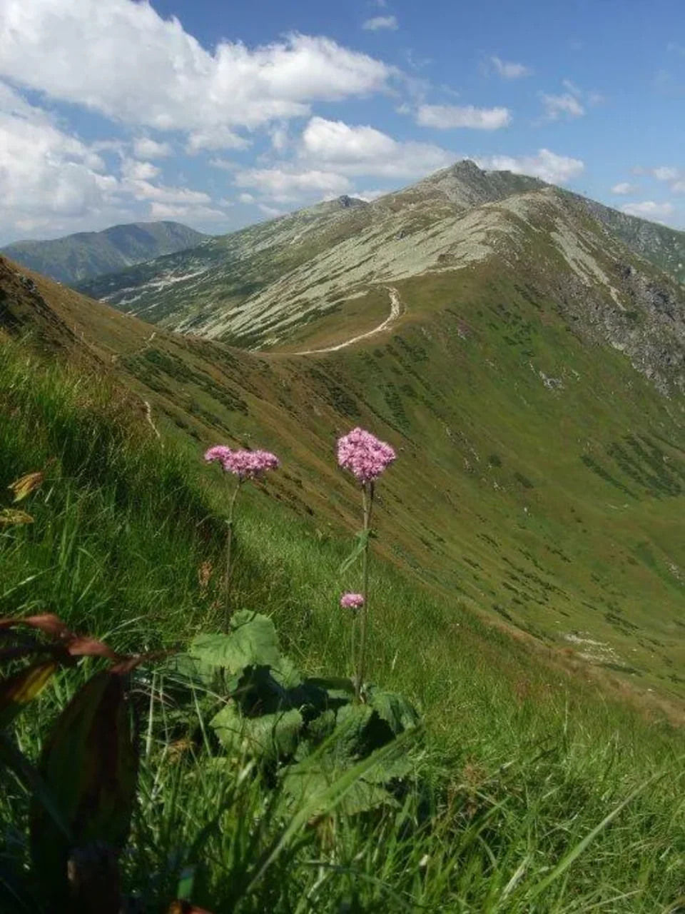 Demanovske sedlo Konske do Sirokej Chopok spod Krupovej hole