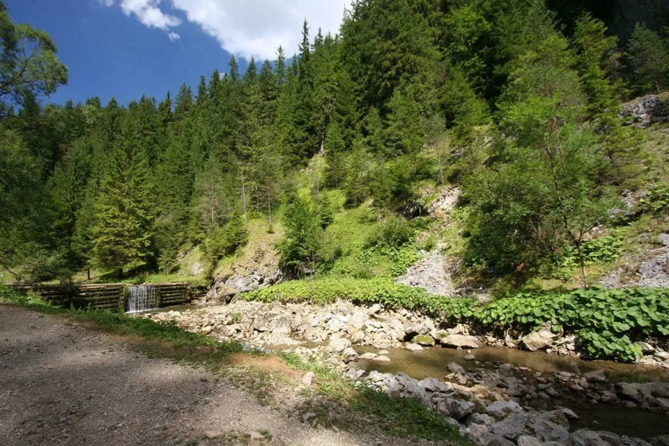 Kwaczanka