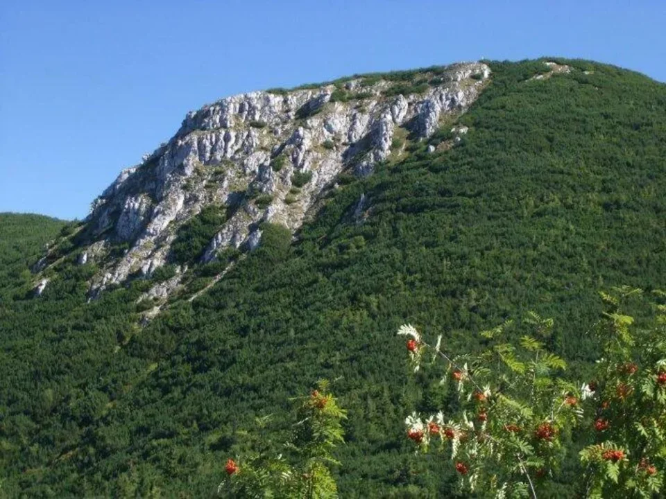 Krakova hola vrchol