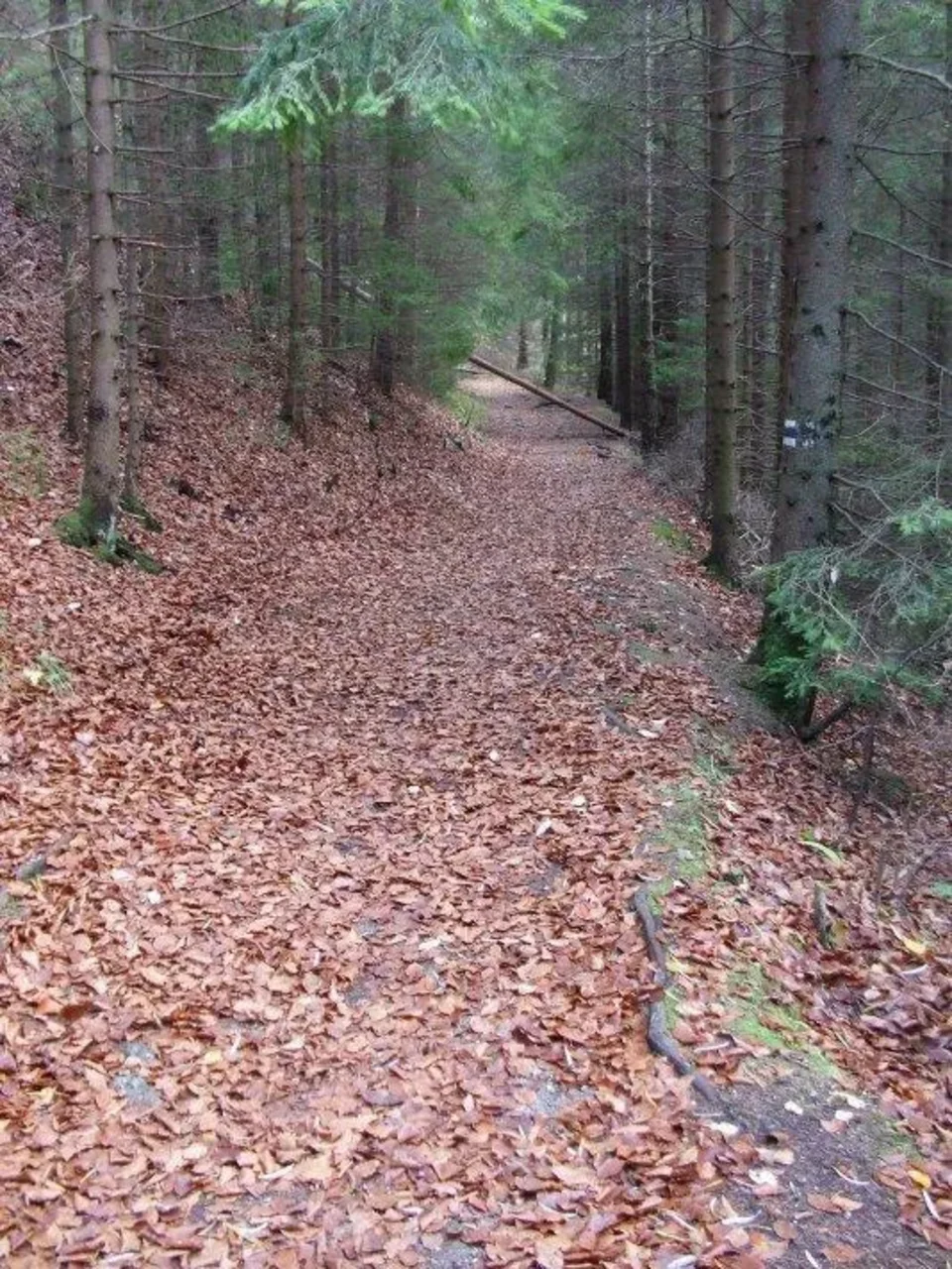 Prosiecka dolina