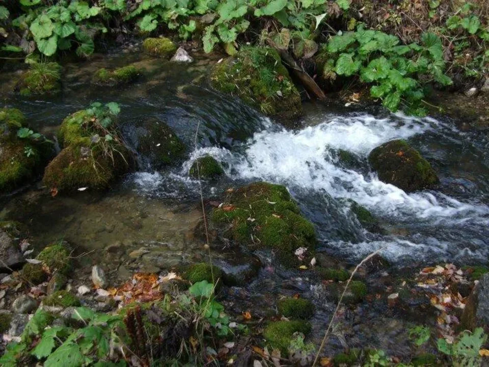 Vyvieranie_Vyvieracka Prosiecanky