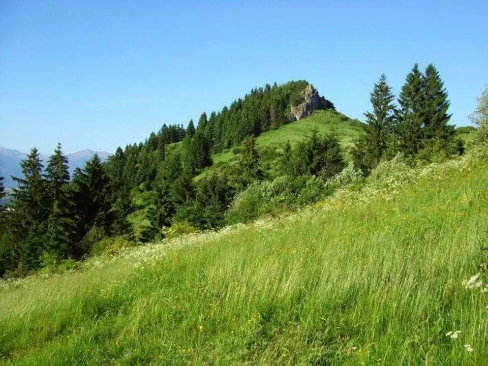 Rohacka 827 m