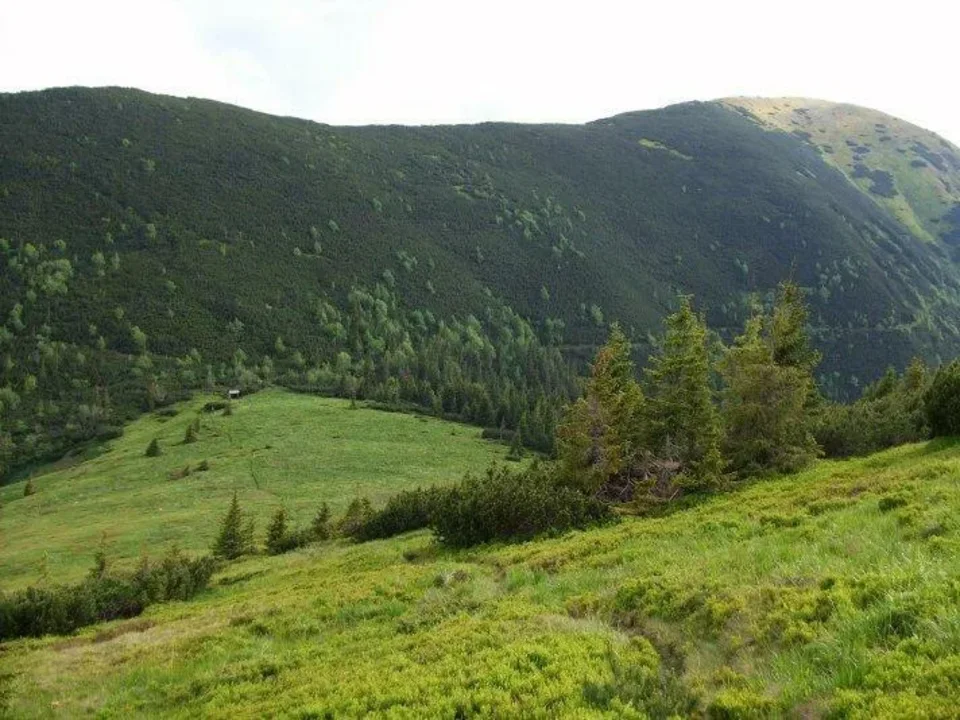 Panska hola Besna ponad Bocianske sedlo