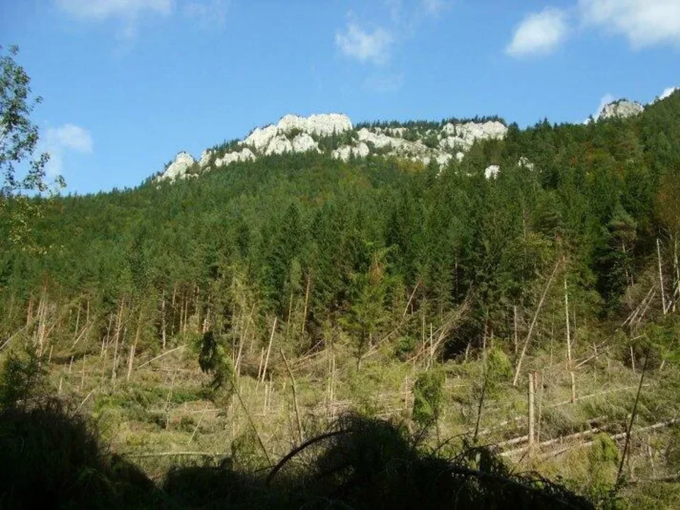 V Prosieckej doline