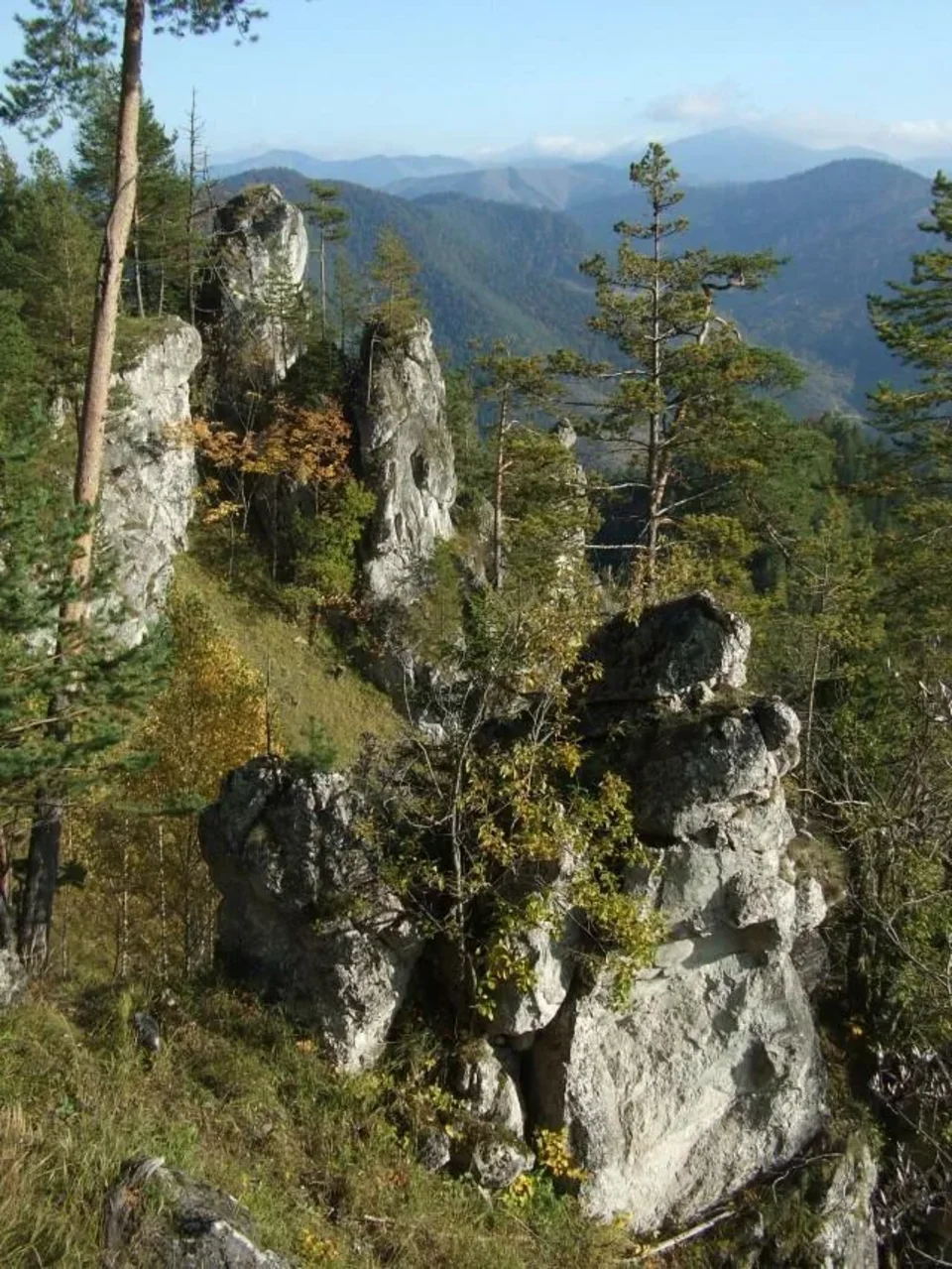 Opaliska - Setisko_Selnice