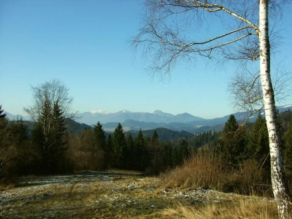 Na Cupankovej Trniny Repiska vzadu Mala Fatra