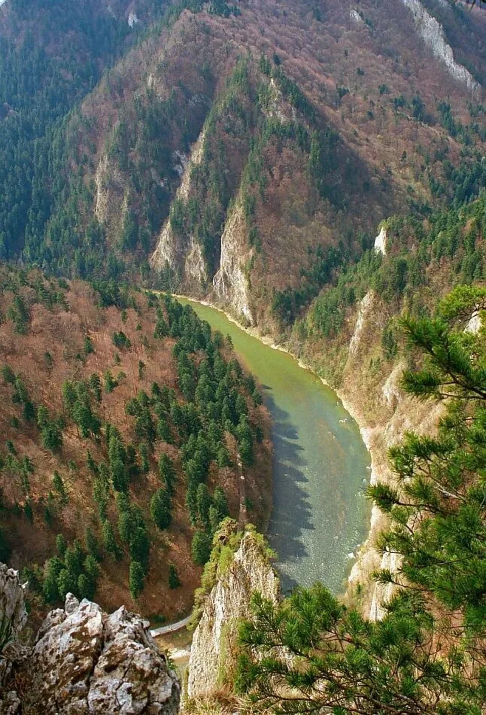 Pieniny. Widok z Sokolicy