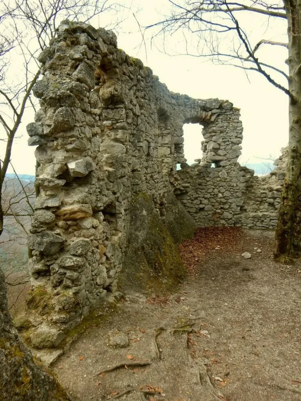 Hrad Sulov Sulovske skaly Sulovske vrchy