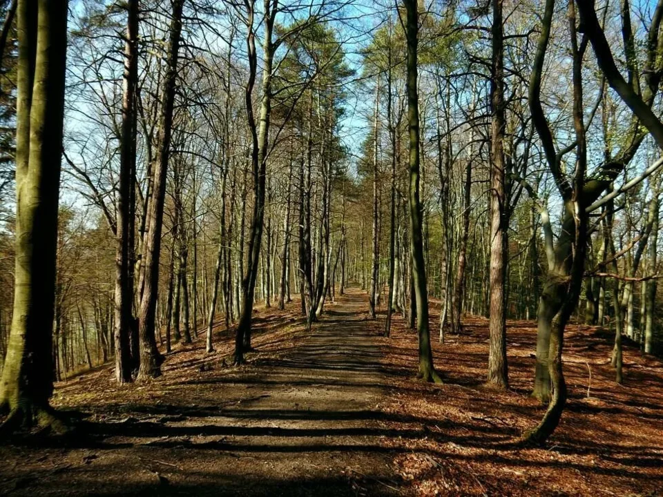Sedlo pod Bradou 660 m prirodna rezervacia Sulovske skaly Sulovske vrchy