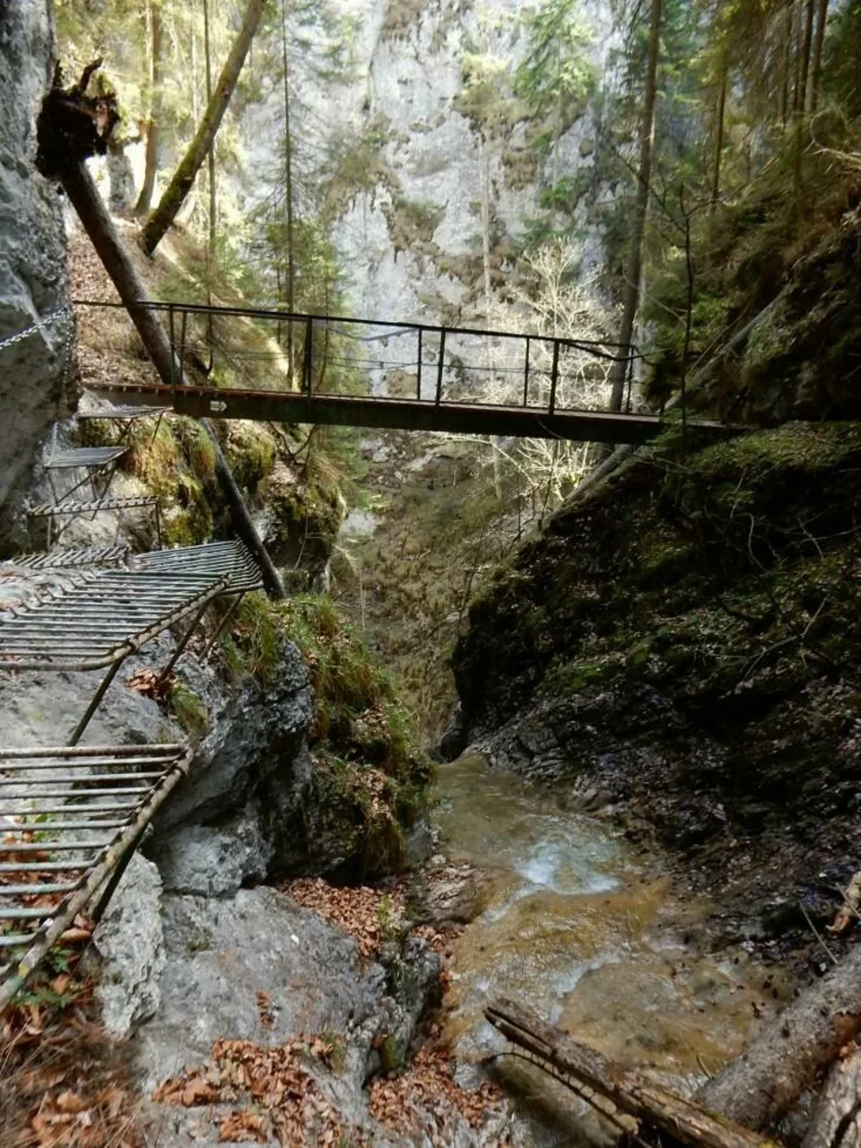 Kysel nad Obrovskym vodopadom