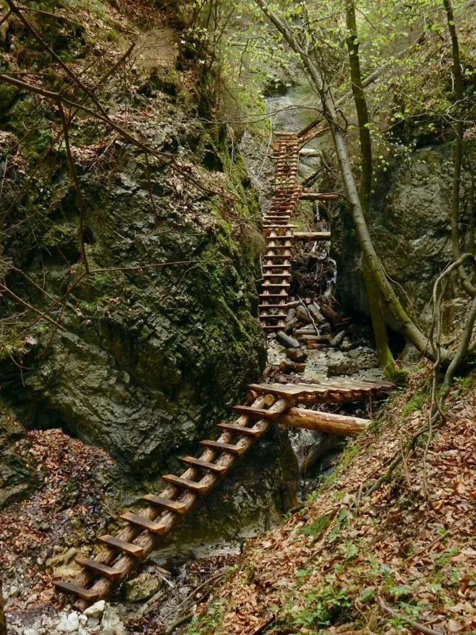 Prirodna rezervacia Piecky vrch