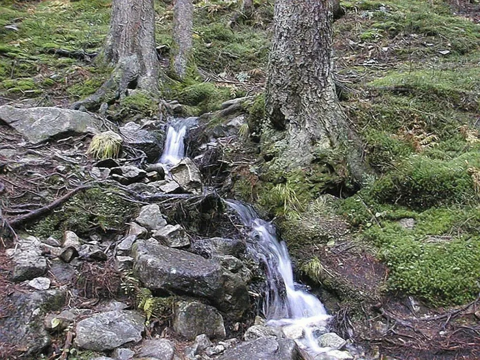 Wywierzysko