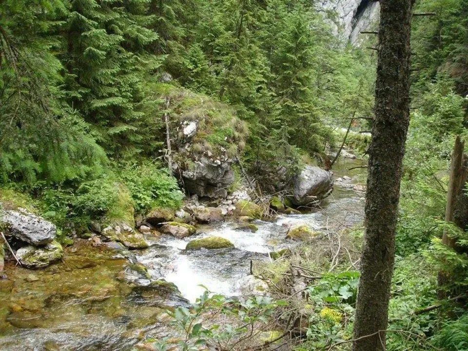 Dolina Koscieliska