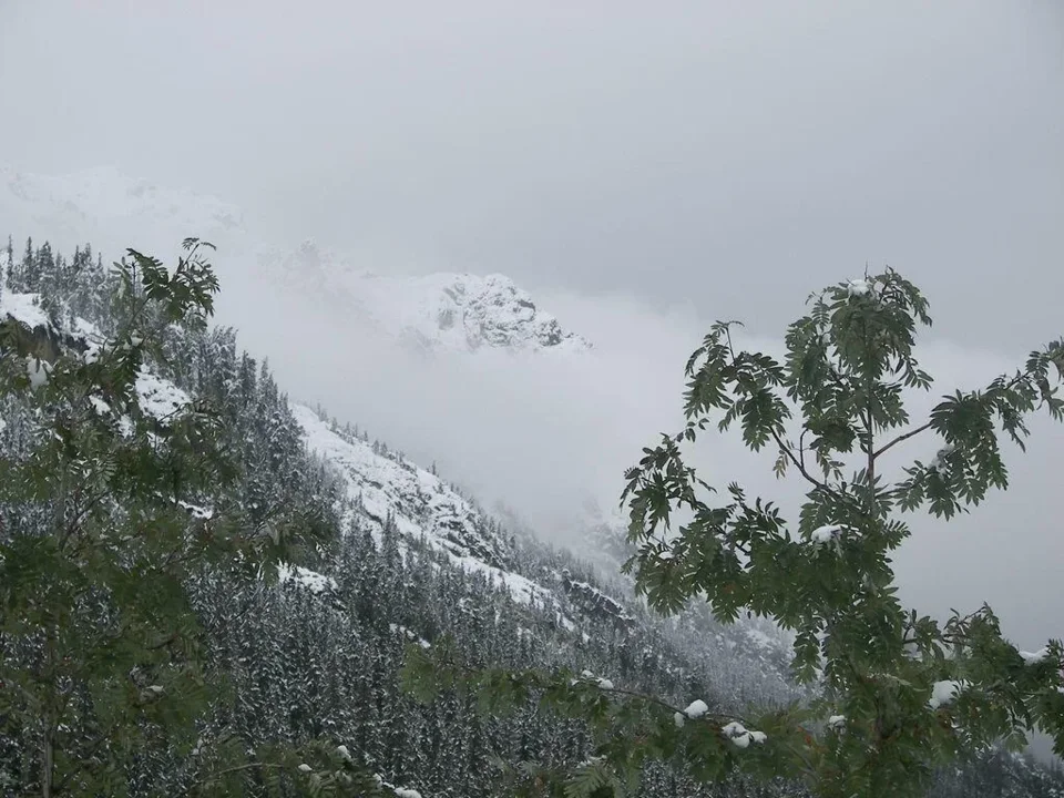 widok z Doliny Roztoki