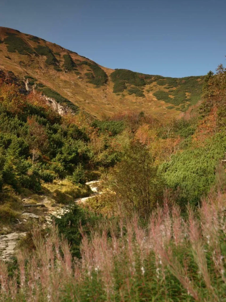 Barwy Jesieni