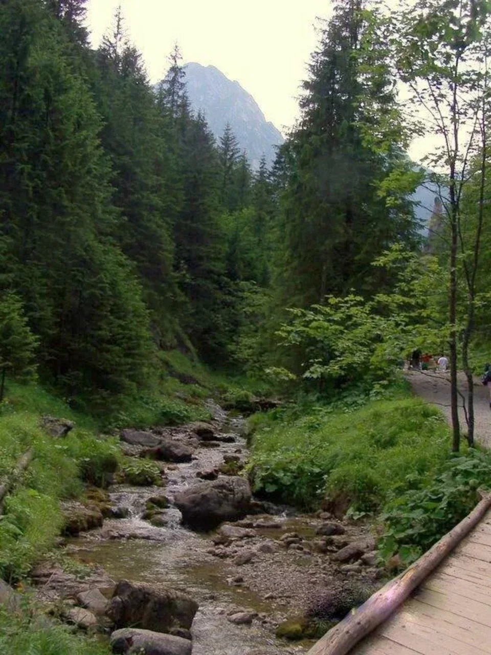 Potok górski