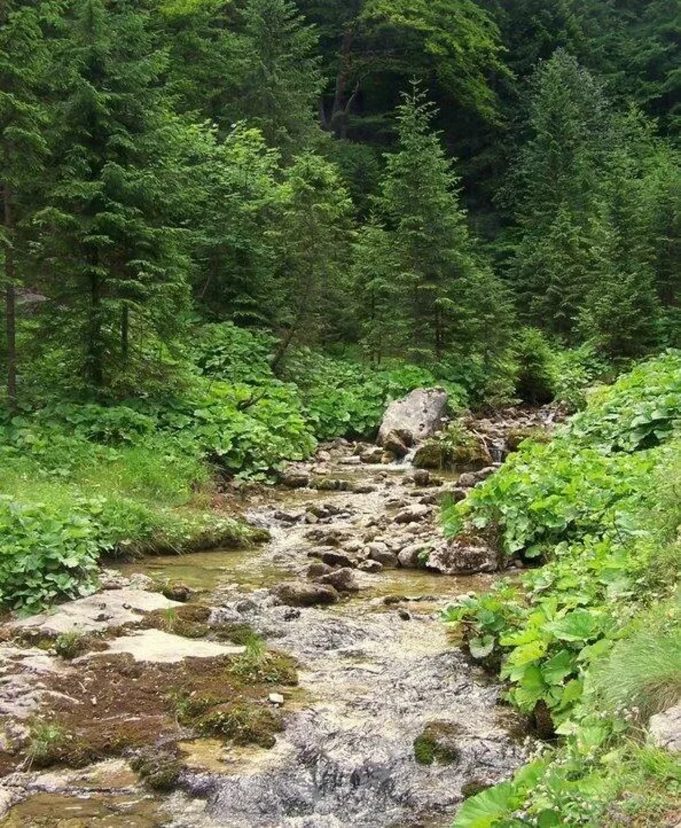 Potok górski
