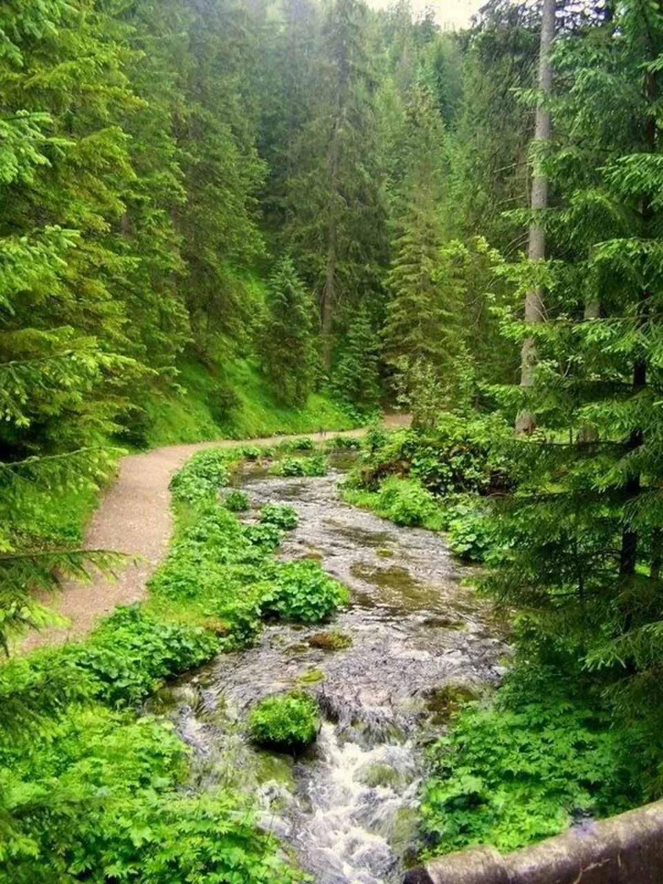 Potok górski