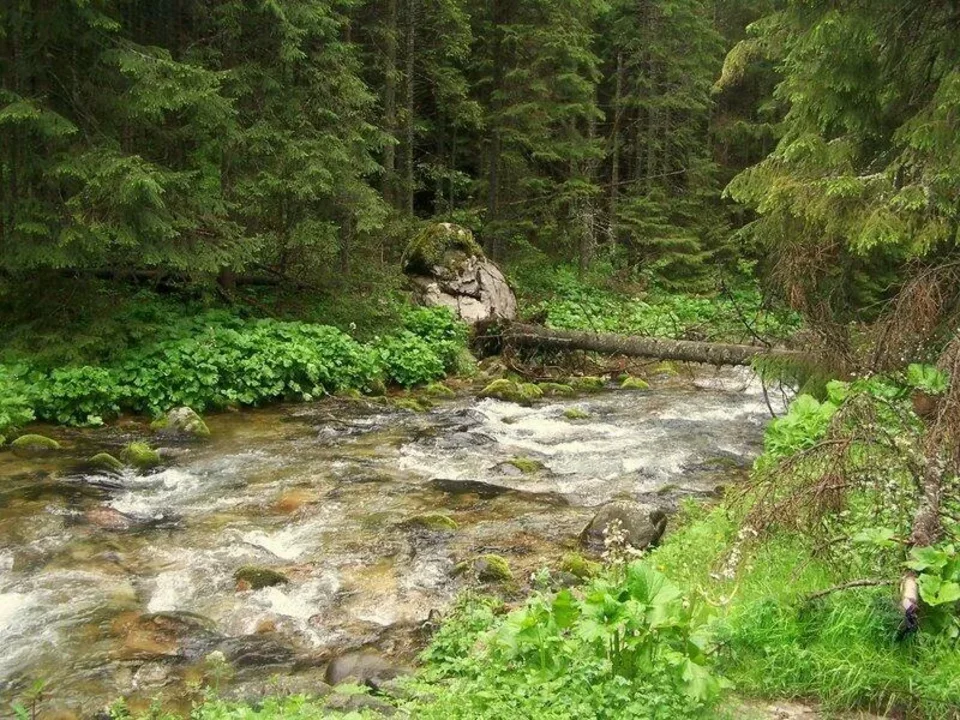 Potok górski