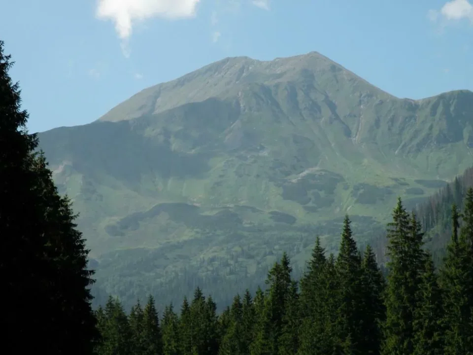 BŁYSZCZ