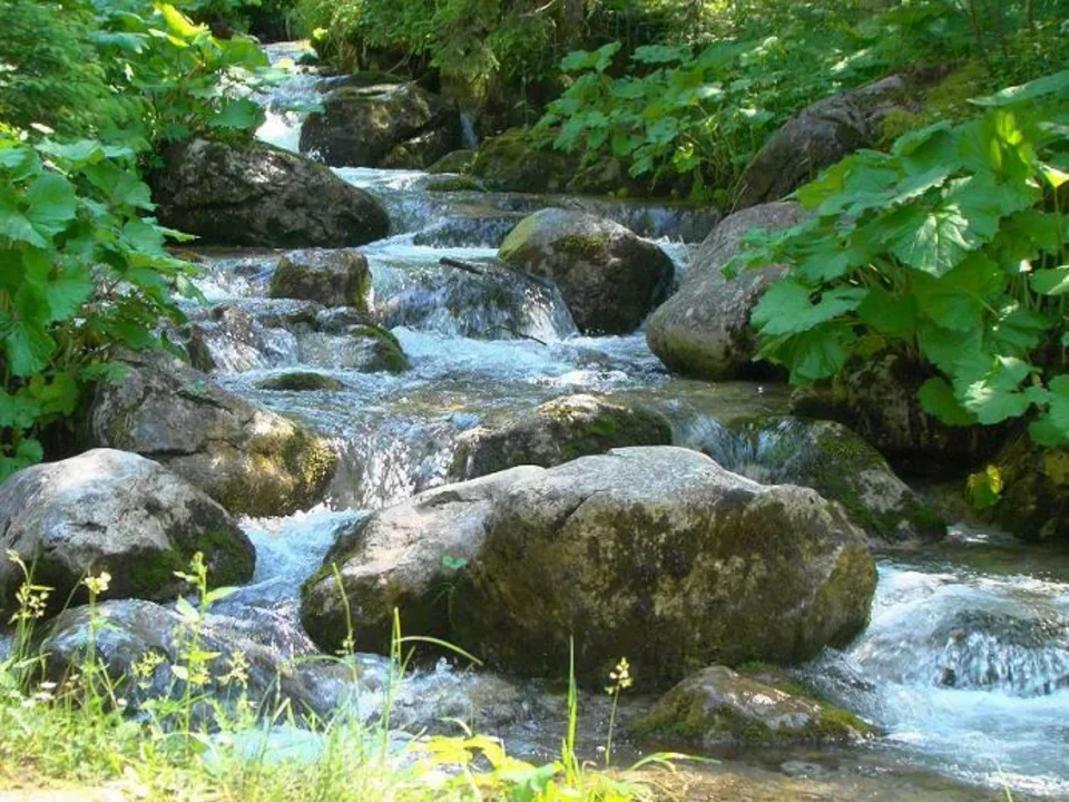 Potok