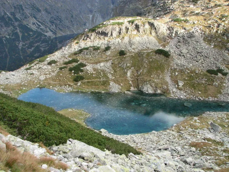 Staw Staszica