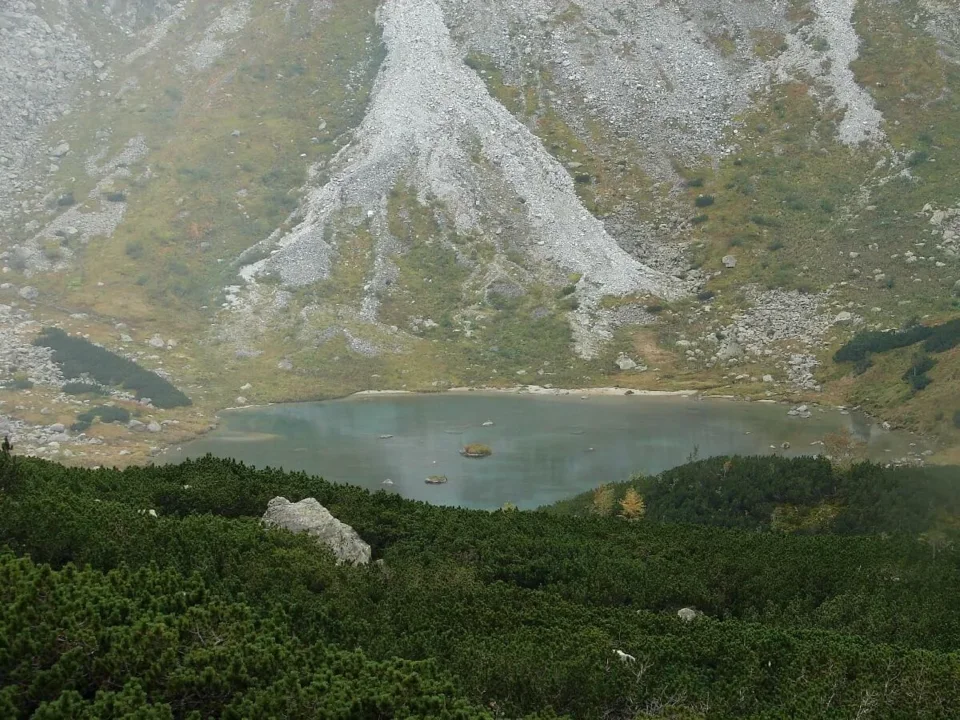 Kaczy Staw