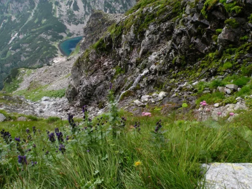 CZARNY STAW POD RYSAMI