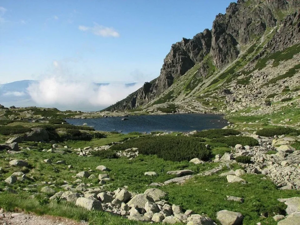 staw nad Skokiem