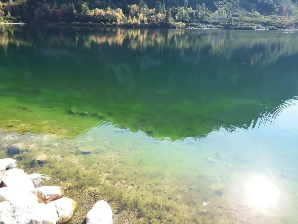 Popradzki Staw
