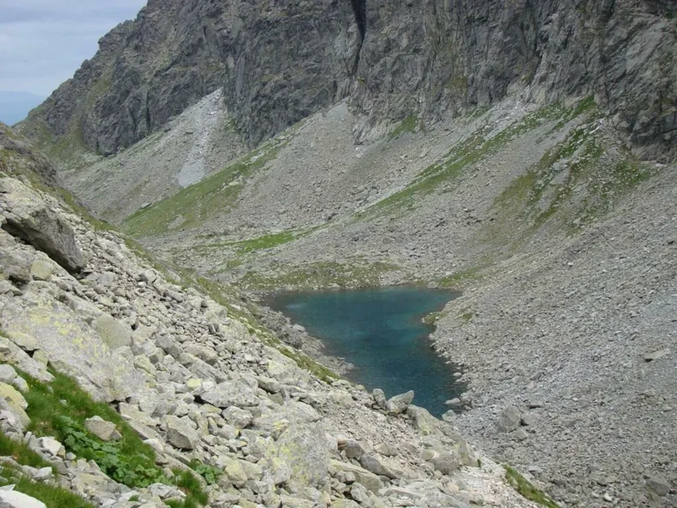 Długi Staw