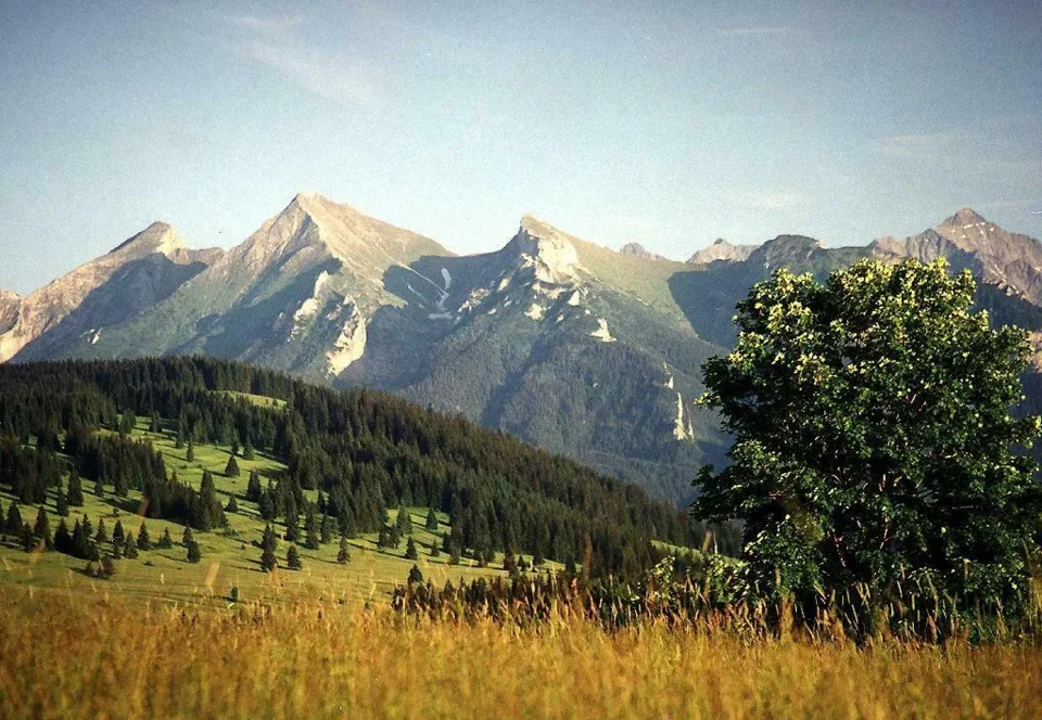 Tatry Bielskie z Magury Spiskiej