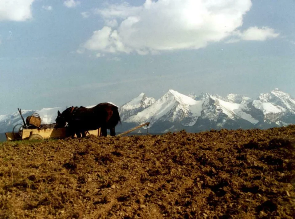 Widok z Podhala na Tatry