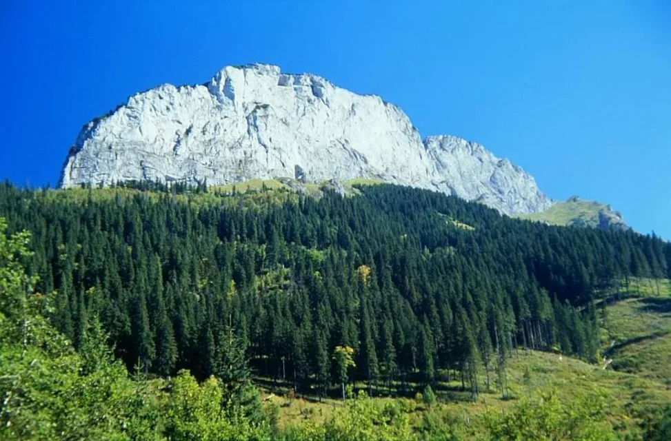 Murań