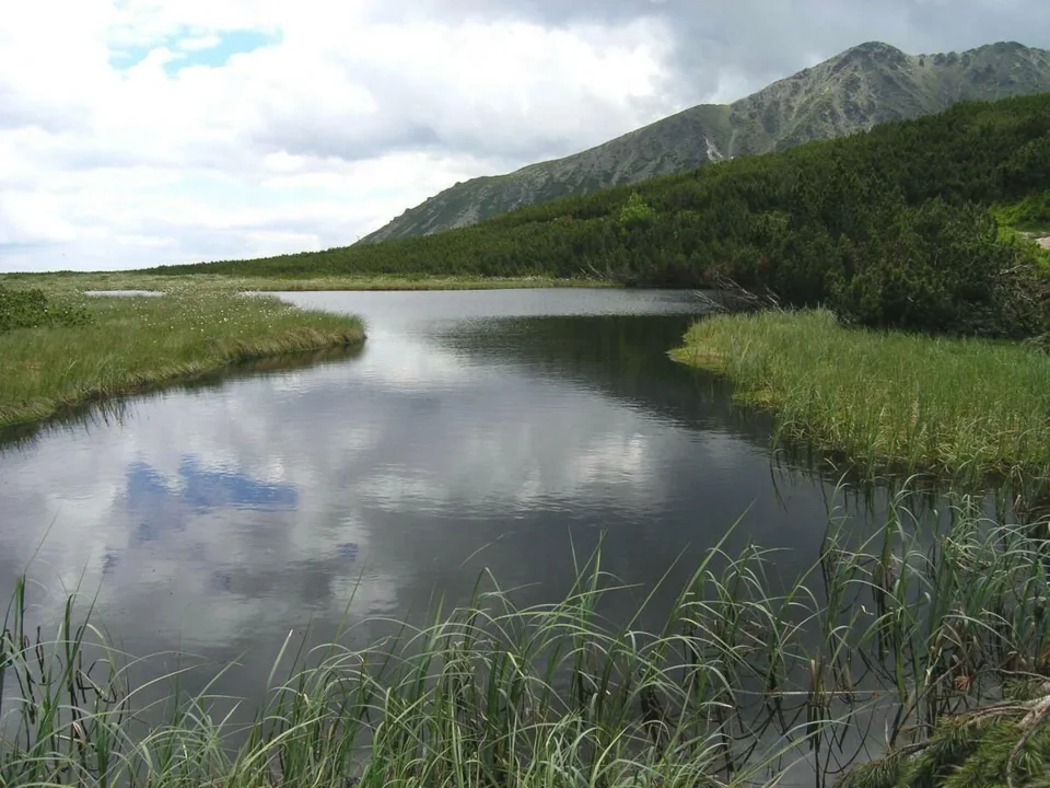Trojrohé pleso(Stręgacznik)