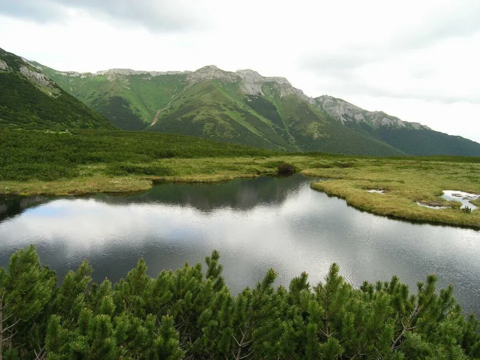 Trojrohé pleso(Stręgacznik)