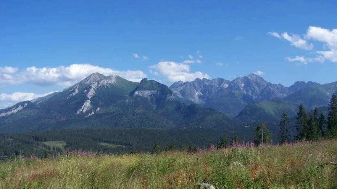 Panorama z Polany Zgorzelisko