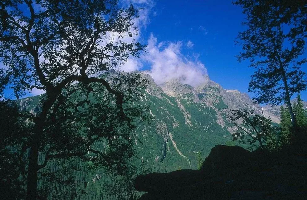Wysoka