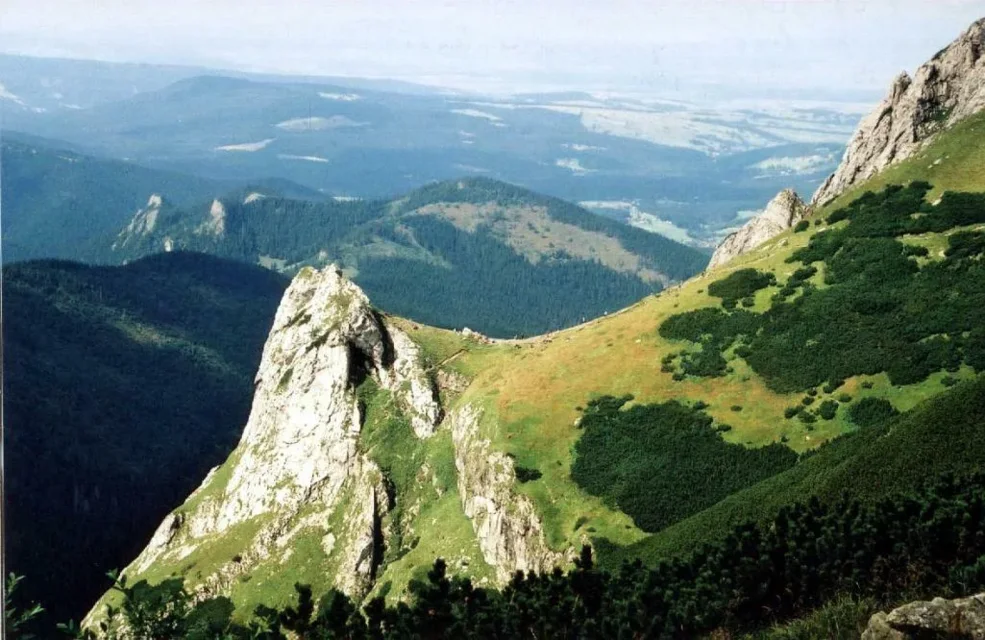 Co widać, każdy widzi