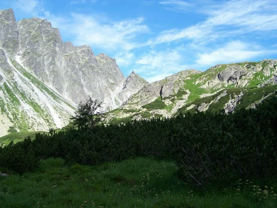 fragment Grani Baszt