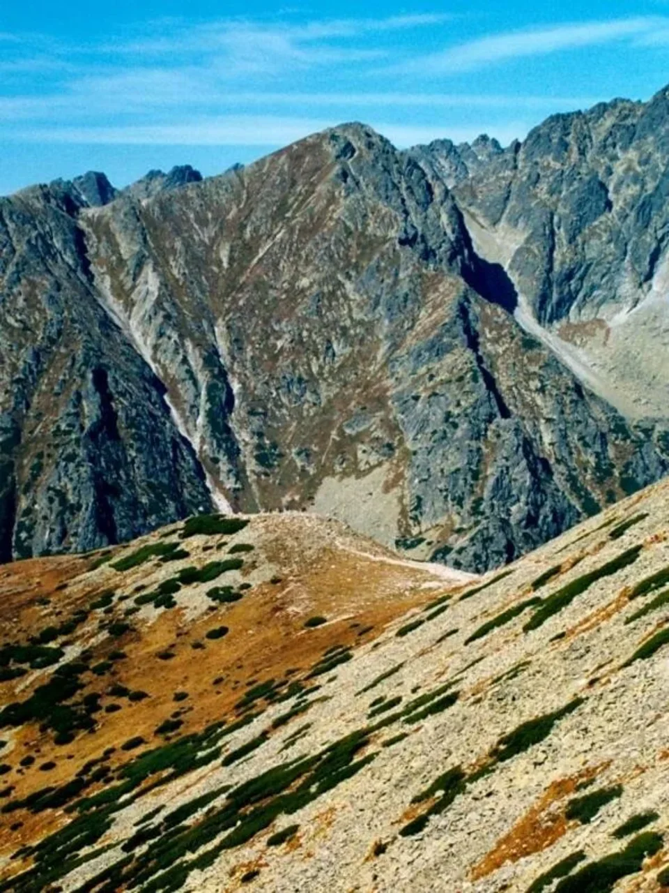 z Osterwy