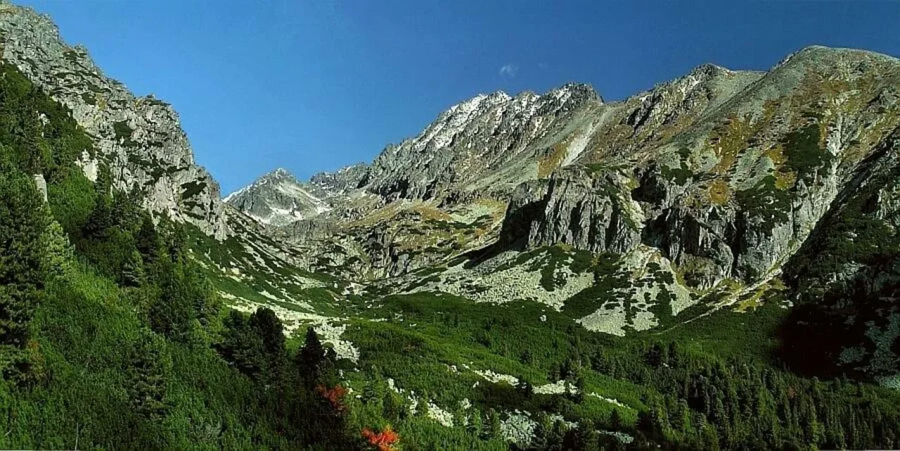 \'Dolina Młynicka\'