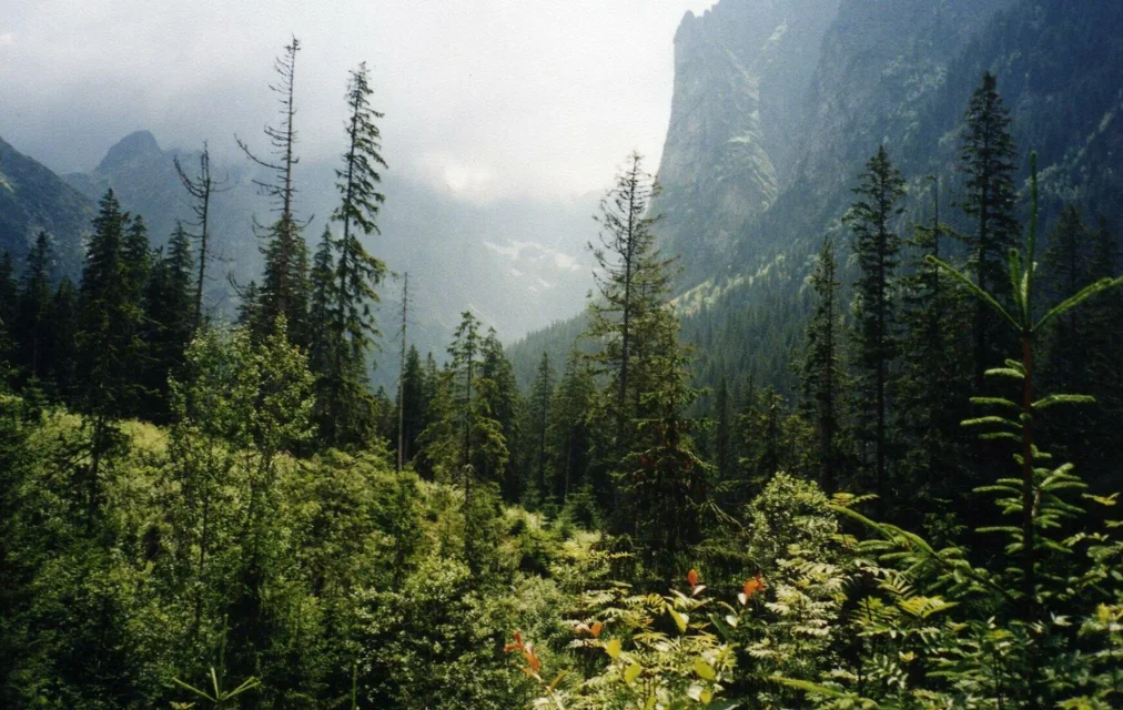 Pod Mlynarzem