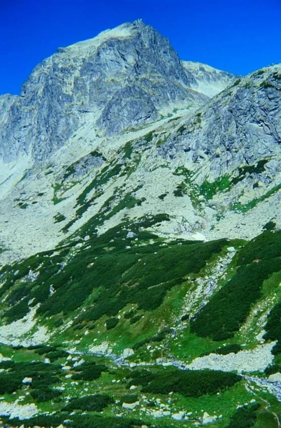 Jaworowy Szczyt