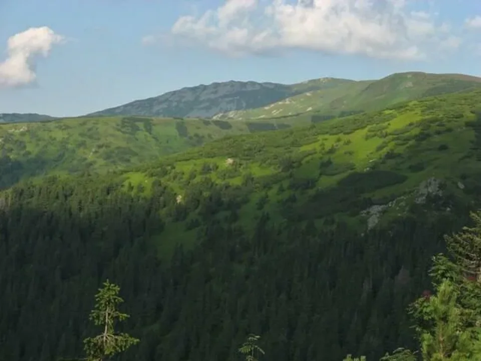 Nizke Tatry