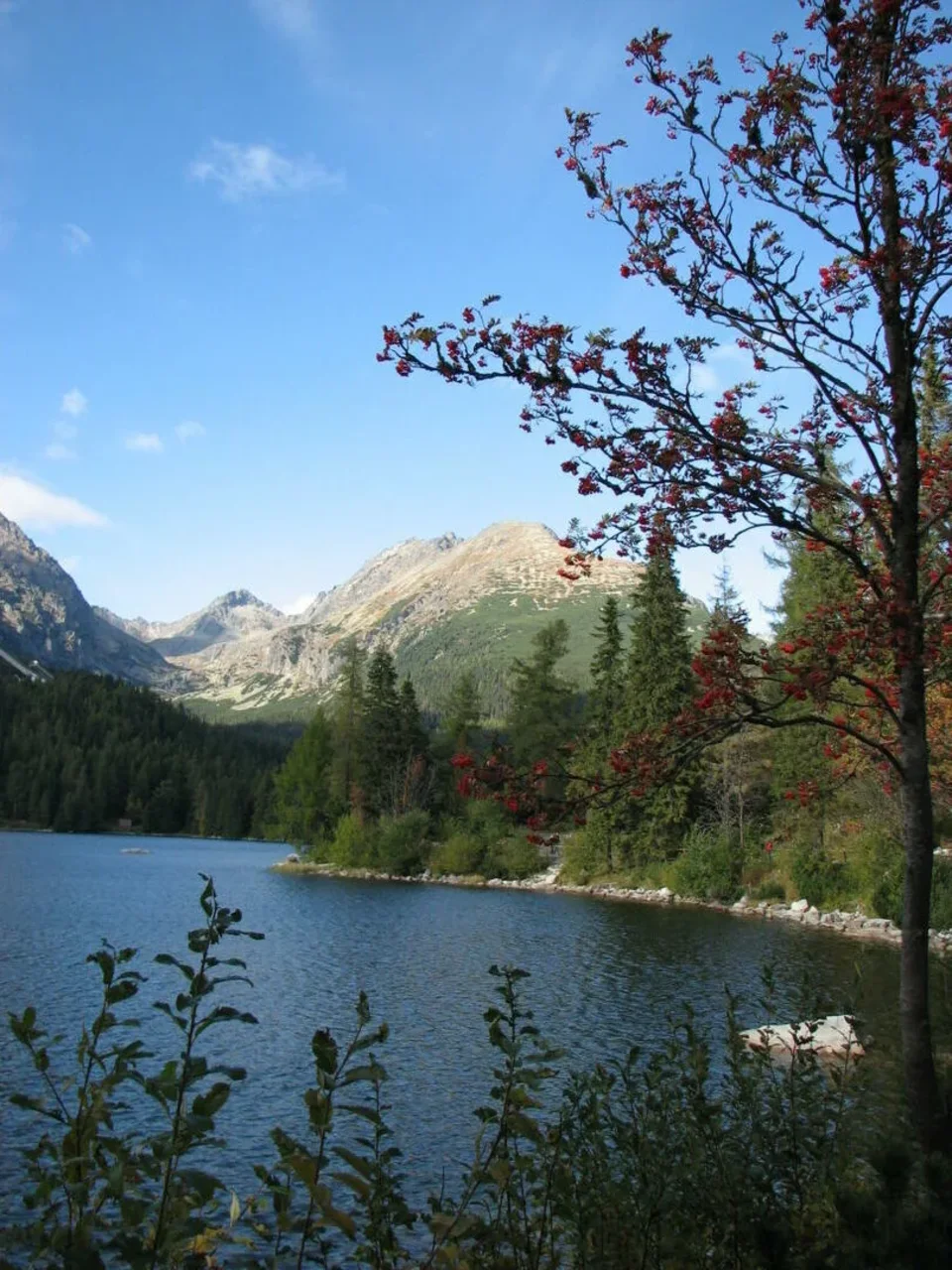 cd Słowacja