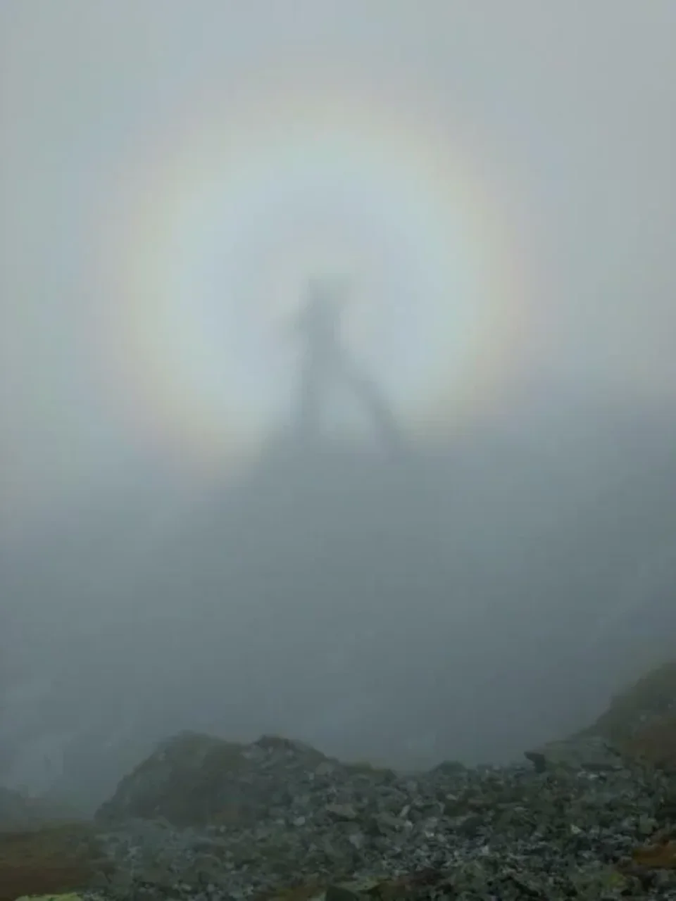 Halo