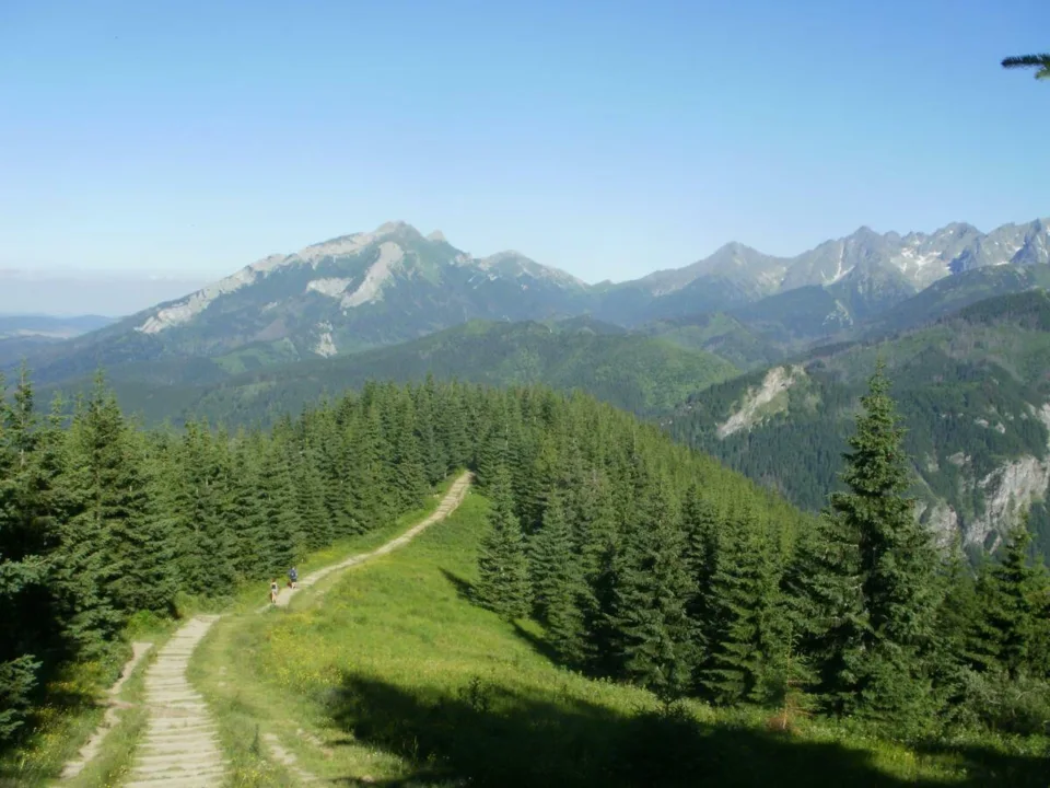 Tatry Bielskie i Wysokie . Widok ze grzbietu Gęsiej Szyj