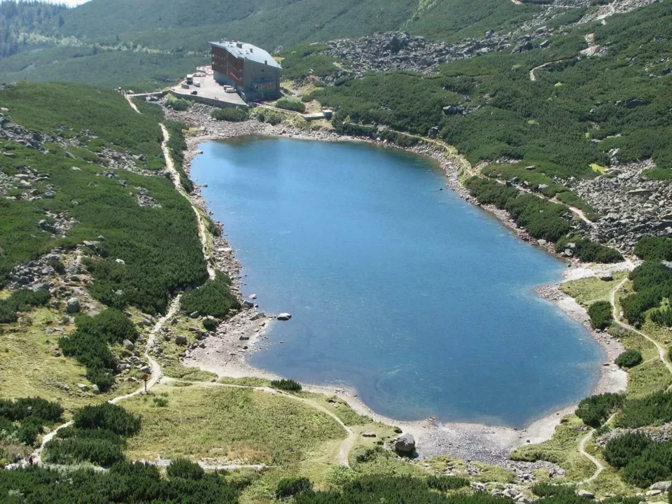 Wielicki Staw