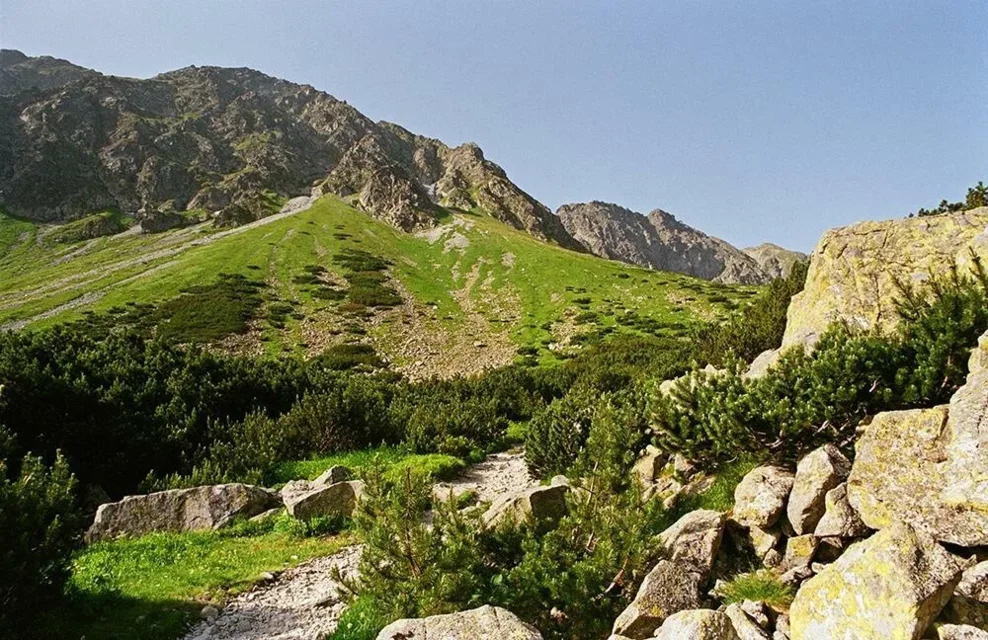 Słowackie Tatry Zachodnie. W Dolinie Spalonej